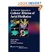 A Practical Approach to Catheter Ablation of Atrial Fibrillation (Practical Approach (Lippincott & Wilkins))