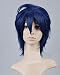 Dream Eater Real City Hidan Aria Qingfeng Hui Blue-Black Color Mixing Cosplay Wig