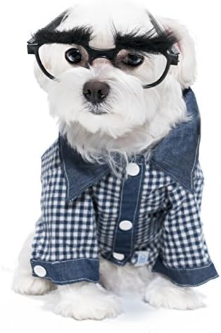 United Pups Chill Pups Blue Date Night Plaid Dog Dress Shirt