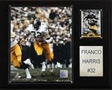 Pittsburgh Steelers Franco Harris 12"x15" Player Plaque
