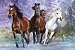 Poster Print Running Wild Horses 24X36 Poster Print by Bob Langrish, 36x24 Poster Print by Bob Langrish, 36x24