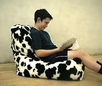 Cozycow chair - from Mr Pillow