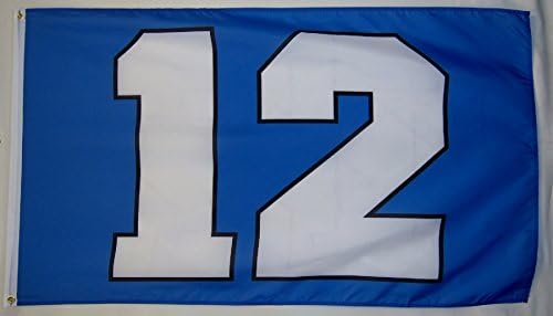 Seattle Seahawks Bold 12 Football Flag 3' X 5' Indoor Outdoor NFL Banner