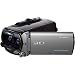 Sony HDR-TD10E Full HD Camcorder (12-fach optischer Zoom (2D) / 10-fach-Zoom (3D), 64 GB interner Speicher, 30 mm Weitwinkel, 8,9 cm (3.5 Zoll) Display) silber