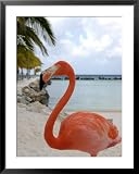 Pink Flamingo on Renaissance Island, Aruba, Caribbean Framed Art Poster Print by Lisa Engelbrecht, 31x39