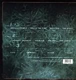 Indestructible (2 LP w/Bonus CD)
