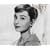 Audrey Hepburn 2009 FACES Deluxe Wall Calendar (Multilingual Edition)