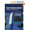 Input-Output Analysis: Foundations and Extensions