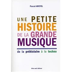 Une petite histoire de la grande musique : De la pr�histoire � la techno