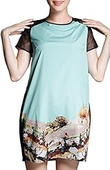 General Print Cutout Sheer Mesh Short Sleeves Polyester  Dress