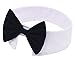 Amajiji Formal Dog Cat Pet Bow Tie Neck Tie for Small Dogs & Cat D016 (White)