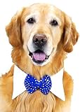 Jewish Holiday Bowtie Dog Costume - Large Dog