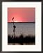 Osprey Perched at Sunset on Abelmarle Sound, Kitty Hawk, North Carolina, USA Framed Art Poster Print by David R. Frazier, 18x22