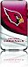 All Products : Skinit Protective Skin for iPod Touch 2G and 3G (NFL Arizona Cardinal Logo)