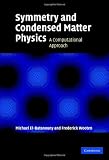 Symmetry and Condensed Matter Physics: A Computational Approach