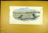 FRENCH FLEET TORBAY VICTORIAN HISTORY 1850 PRINT
