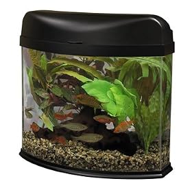 Buy Marineland Eclipse System Corner Fish Tank, 5 Gallon (Acrylic) by Eclipse