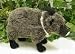 Standing Javelina 10