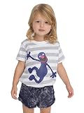 American Apparel Kids Sesame Street Grover Fine Jersey Short Sleeve T -Heather Grey White Stripe