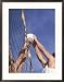 Search : Close-up of Hands with Volleyball Collections Framed Art Poster Print by John R Kelly, 24x30