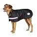 Weatherbeeta Orican Dog Blanket - New for 2009 - Black/Chili