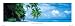 Filalhohi Island, Maldives (Palm Trees Over Water) Art Poster Print - 12