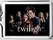 Twilight Cast Lucite Keychain