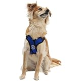 Gooby Choke Free Step-In Comfort X Dog Harness, Large, Blue