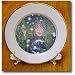 Cindy Thorrington Haggerty Angels Fairies - Mother Earth s Tears - Plates