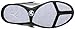 DVS Men's Argon Action Sports Shoe