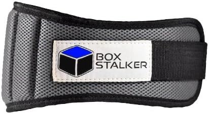Box Stalker Weight Lifting Belt: Gray,31.0-34.0 in