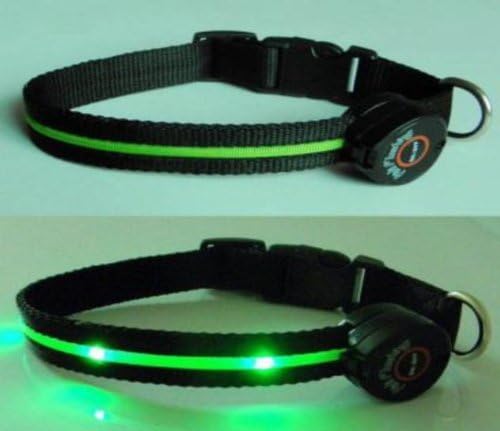 Dog Collar with LED Lights, Multi-Function, Green - Size Large
