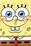 (24x36) SpongeBob SquarePants (Smile) TV Poster Print