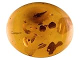 MIN 1.75CT 12X10MM OVAL HEATED AMBER FROM BALTIC