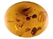 MIN 1.75CT 12X10MM OVAL HEATED AMBER FROM BALTIC