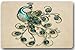 DearHouse Beautiful Peacock Bird Tail Feathers Doormat Non Slip Outdoor Indoor Bathroom Kitchen Decor Rug Mat Welcome Doormat 23.6