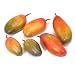 �ߥ˥��ޥ󥴡�ASST 6pFV126500-