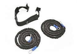 Stroops The Cat Exercise Device