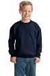 Youth Crewneck Sweatshirt