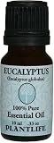 Eucalyptus 100% Pure Essential Oil - 10 ml