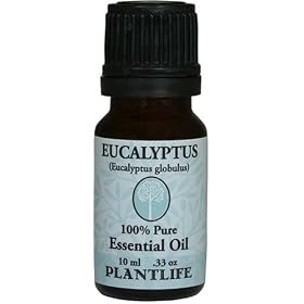 Eucalyptus 100% Pure Essential Oil - 10 ml by Plantlife