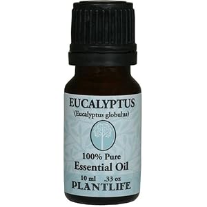 Eucalyptus 100% Pure Essential Oil - 10 ml by Plantlife