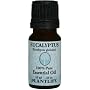 Eucalyptus 100% Pure Essential Oil - 10 ml