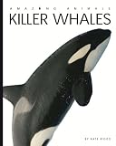 Amazing Animals: Killer Whales