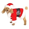 Santa Claus Dog Costume