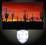 Desert Cacti Sun Decorative Night Light