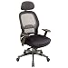 Office Star Space Professional Deluxe Matrex Back Chair with Adjustable Headrest and Mesh Seat