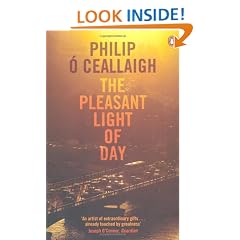 The Pleasant Light Of Day
