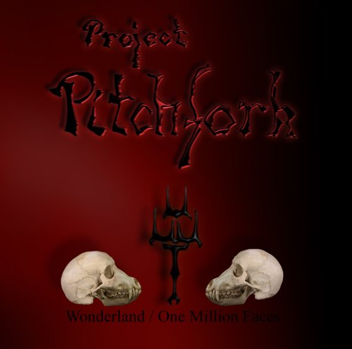 Produkt-Bild: Wonderland / One Million Faces