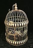 Decorative Bird Cage Medium